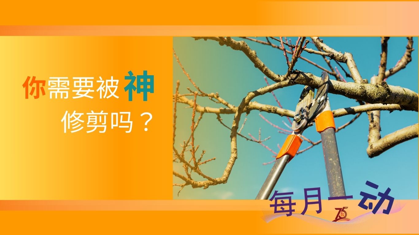 每月一动：你需要被神修剪吗？